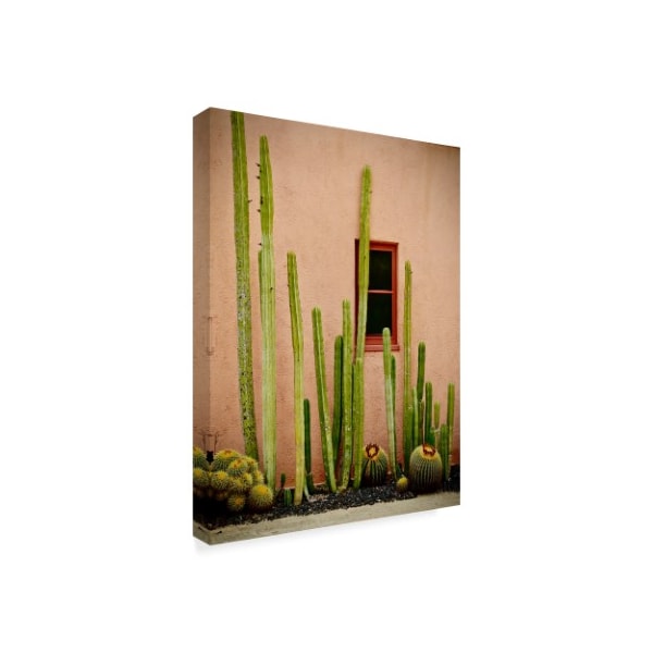 American School 'Adobe Cactus' Canvas Art,18x24